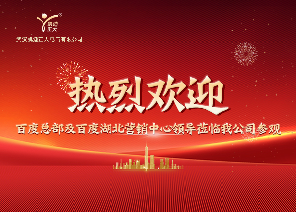 百度總部及湖北營銷中心領導蒞臨我司，共繪合作新藍圖